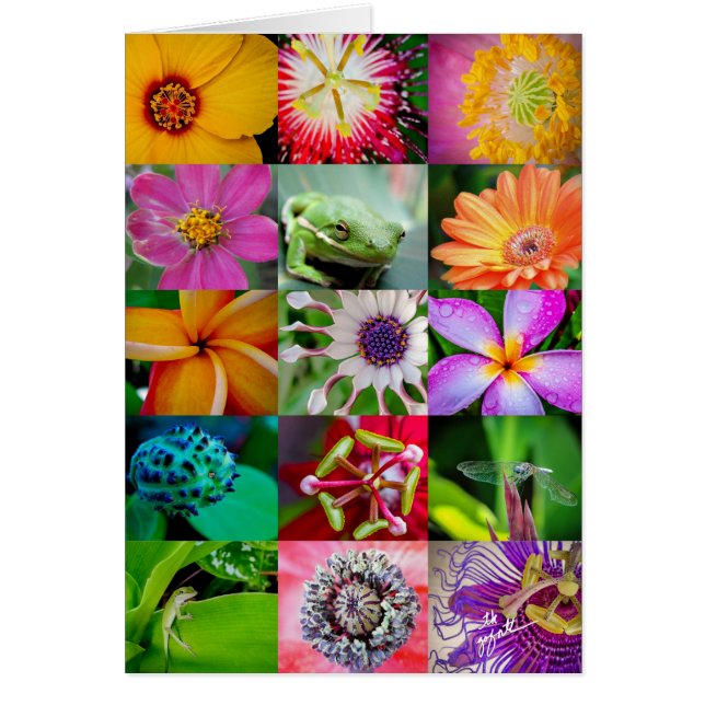 Flores y criaturas elegantes Patrón floral (Frente)