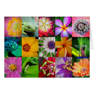 Flores y criaturas elegantes Patrón floral