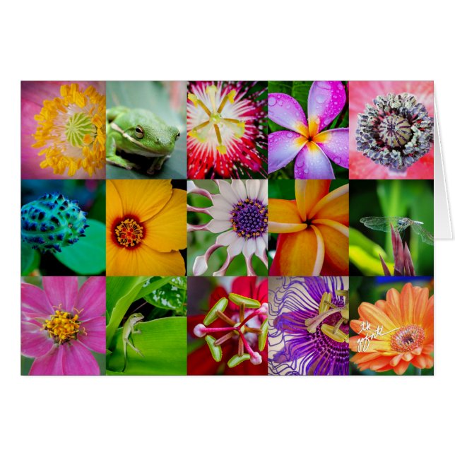 Flores y criaturas elegantes Patrón floral (Anverso (Horizontal))