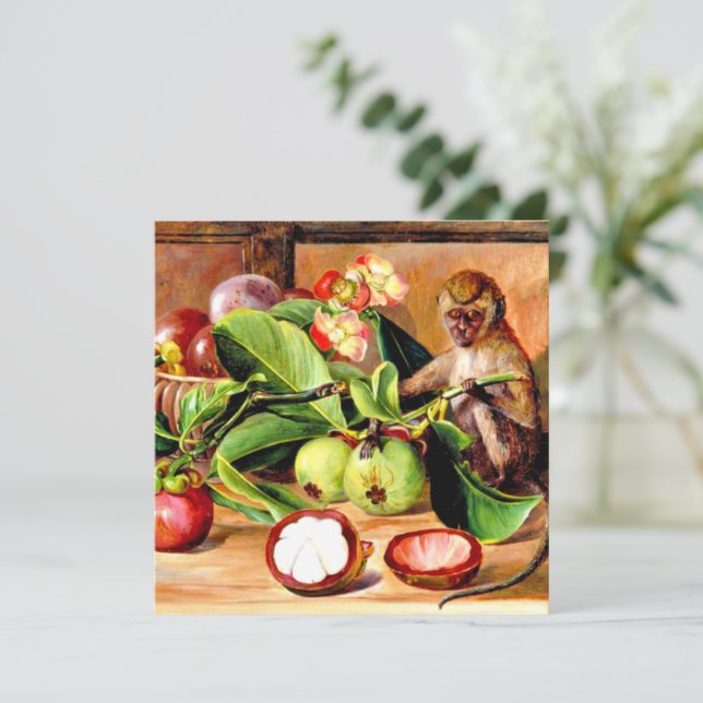 Flores y fruto del Mangostán; Mono de Singapur (Anverso de pie)