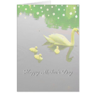 Flores y Lago de los Cisnes Día de la Madre
