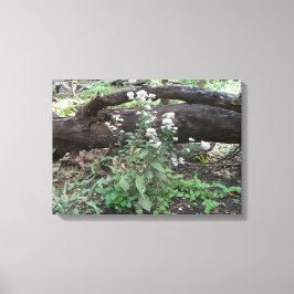 Flores y lienzo de registro de impresión envuelto