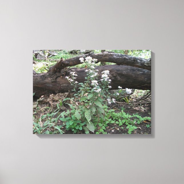 Flores y lienzo de registro de impresión envuelto (Anverso)