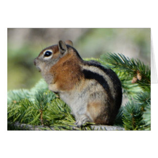 Flores y lindo Chipmunk pequeño