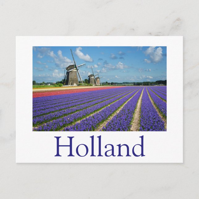 Flores y molinos de viento en Holanda postal de te (Anverso)