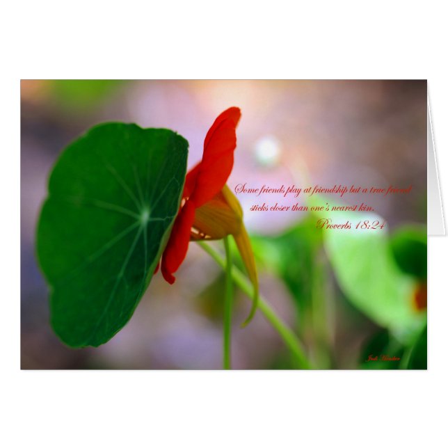 Flores y plantas se inclinan unas sobre otras. (Anverso (Horizontal))