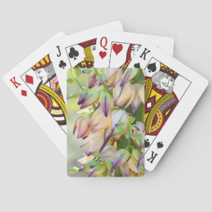 flores yucca jugando cartas