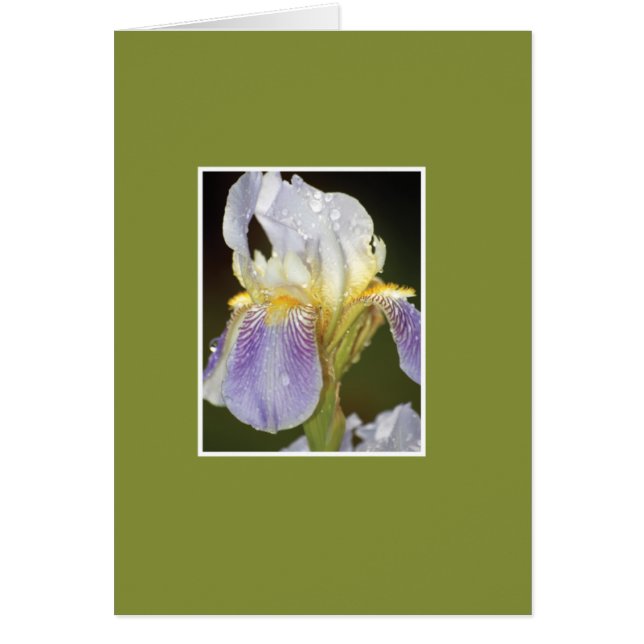 Florezco con usted (Frente)