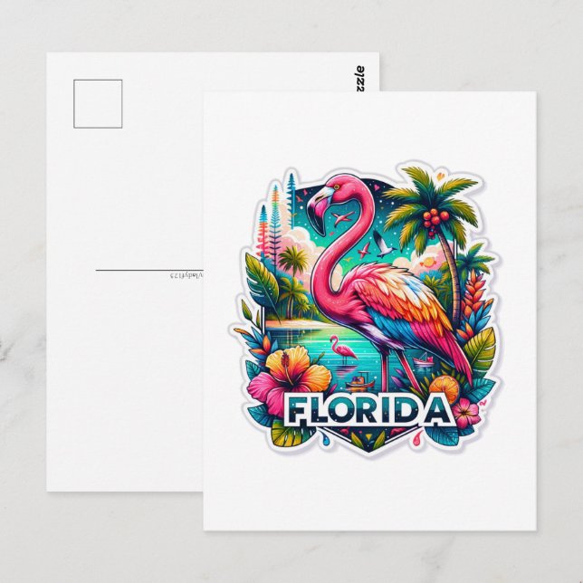 Florida, Flamingo, Posttravesía postal (Anverso / Reverso)