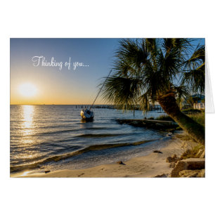 Florida Leading Palm Tree Sunset Thyou Card