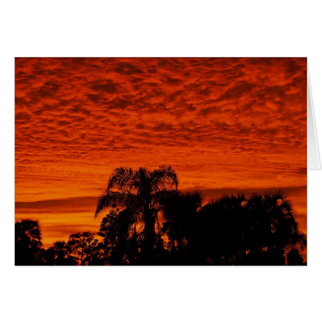 Florida Sunset (Anverso (Horizontal))