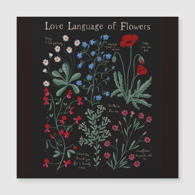 Floriografía Lengua de amor de flores botánica (Anverso)