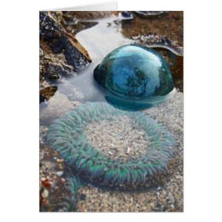 Flota de vidrio y anémona