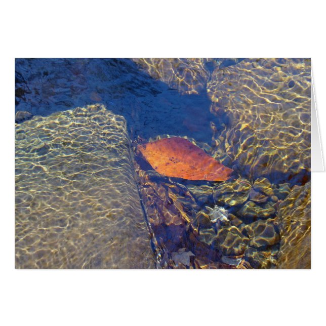 Flotación cerca (Anverso (Horizontal))