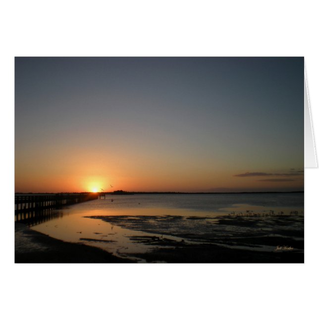 "Flotando al aire" Dunedin, Florida (Anverso (Horizontal))