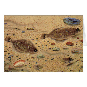 Flounders vintage, peces planos de vida marina
