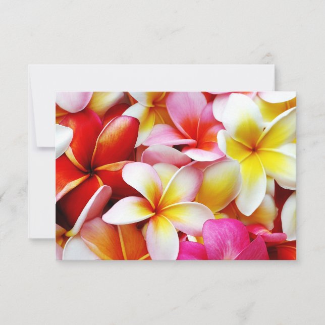 Flower Hawaii Personalizada Plumeria Frangipani (Anverso)