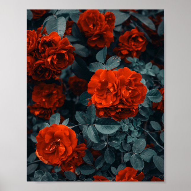 Flower Posters & Prints (Frente)