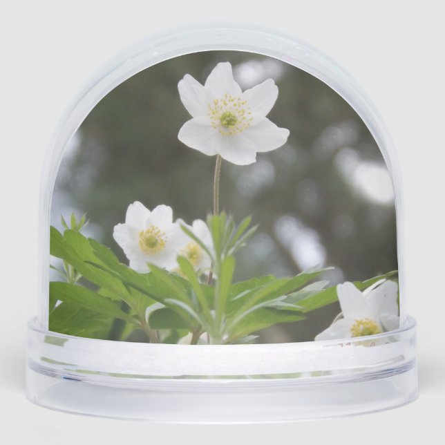 flowers (Anverso)