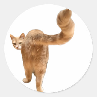 Floyd Butt Pegatina - ¡Con Cara!