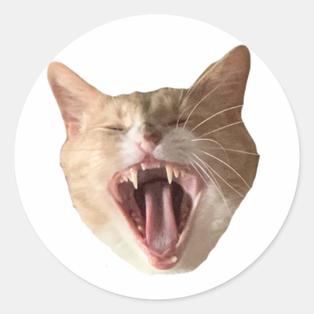 Floyd Pegatina - ¡Con Boca Abierta! (Anverso)