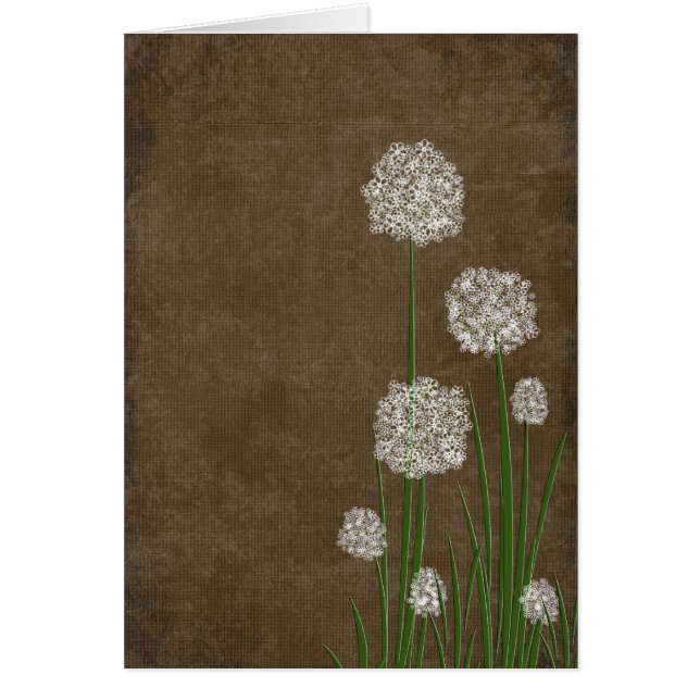 Fluctuación de las flores (Frente)