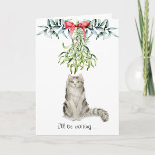 Fluffy Cat bajo la tarjeta de Navidades Mistletoe