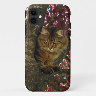 Fluffy Tabby Cat Mascota-amantes del Funda para iP