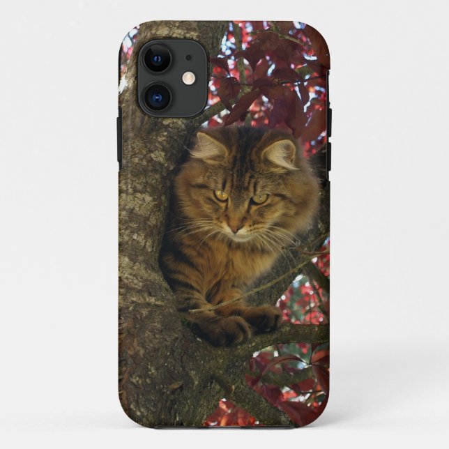 Fluffy Tabby Cat Mascota-amantes del Funda para iP (Reverso)