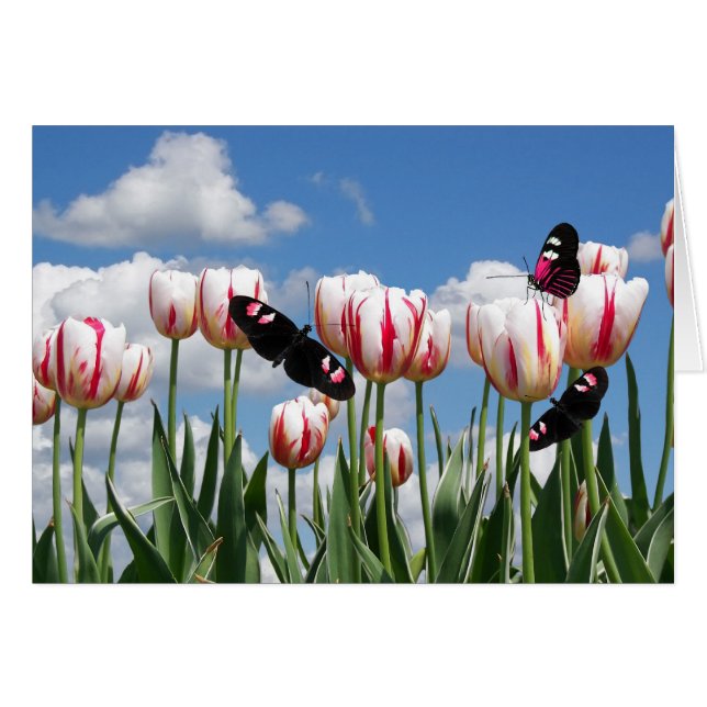 Fluir por (Anverso (Horizontal))