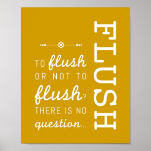 Flush Reglas del cuarto de baño Poster Arte Impr