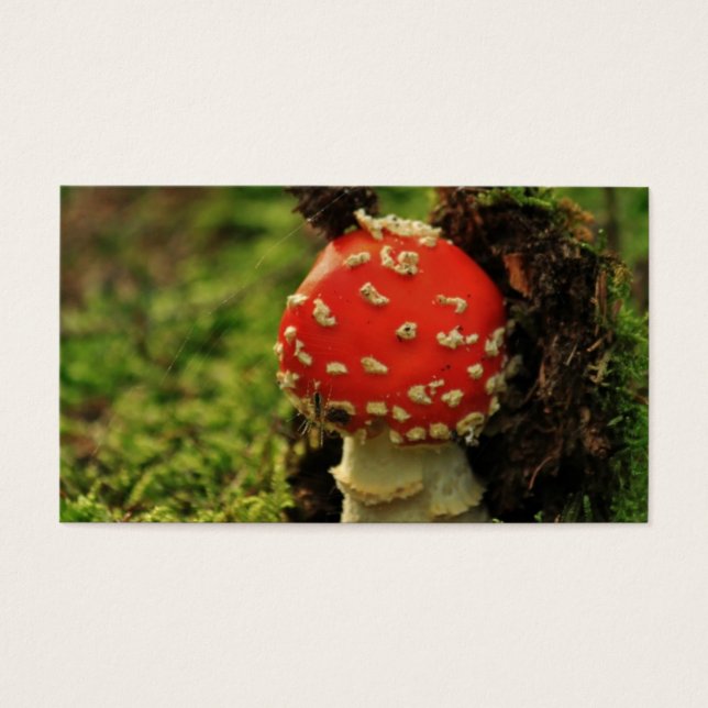 Fly Agaric (Frente)
