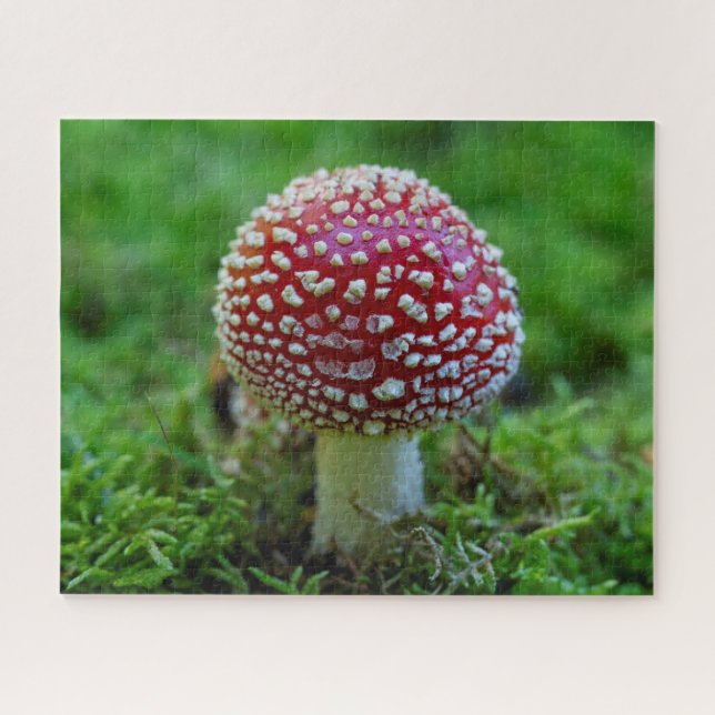 Fly Agaric Mushroom Jigsaw Puzzle (Horizontal)