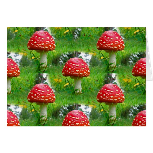 Fly Agaric Mushrooms (Anverso (Horizontal))