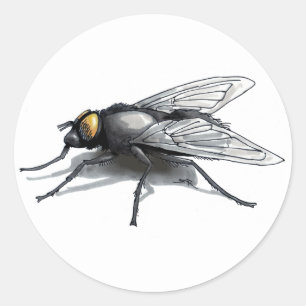 Fly Buddy blanco grandes pegatinas redondos
