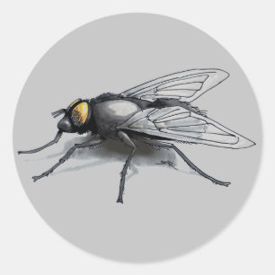 Fly Buddy gris pegatinas redondos grandes