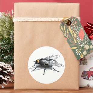 Fly Buddy rodea a grandes pegatinas