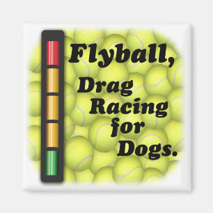 Flyball es imán de las Carreras de fricción/del