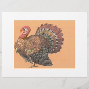 Flyer Acción de Gracias Turquía