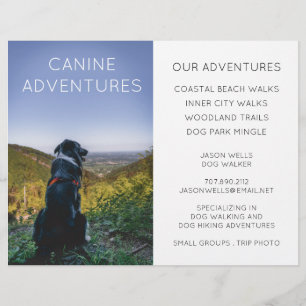 Flyer Adventure Dog Walker Camina Senderismo