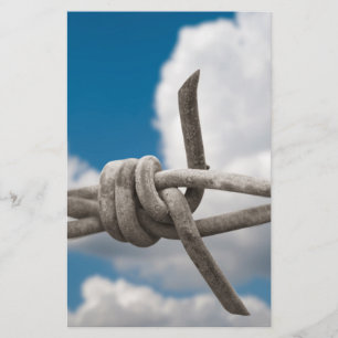 Flyer Alambre de púas