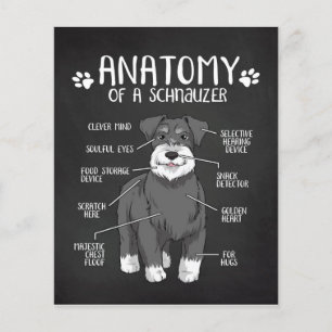 Flyer Anatomía De Un Regalo De Amante Schnauzer