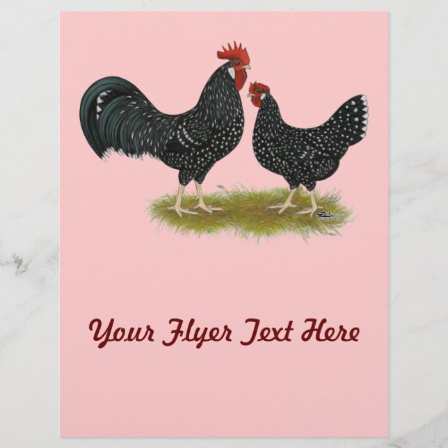 Flyer Ancona Chickens (Frente)