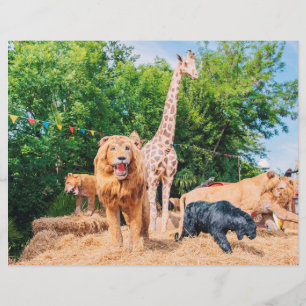 Flyer Animales de peluche