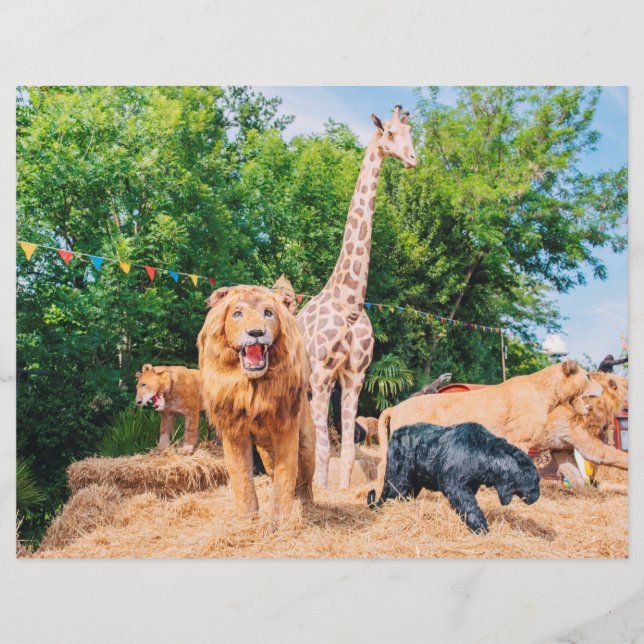 Flyer Animales de peluche (Frente)