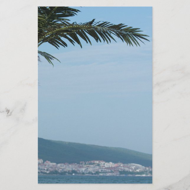 Flyer Árbol de palma (Frente)