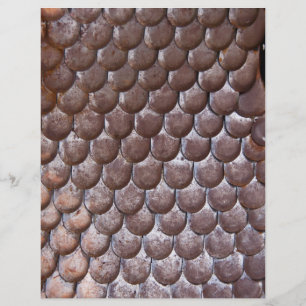 Flyer Armadura de escamas antigua