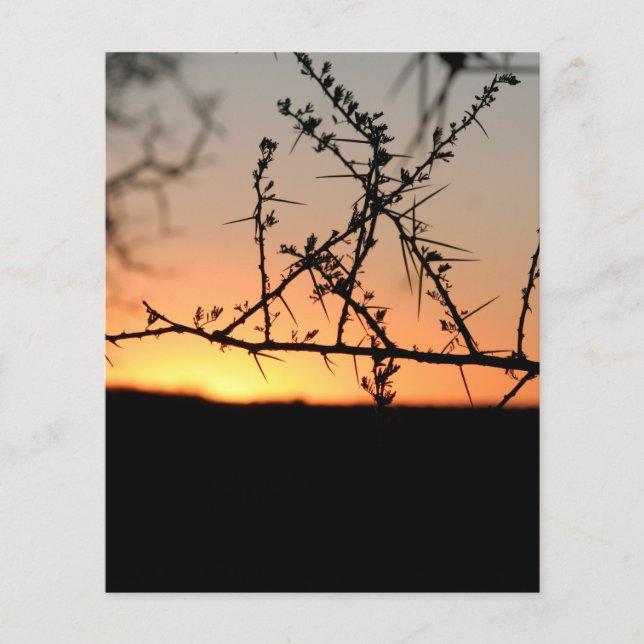 Flyer Atardecer de África (Frente)