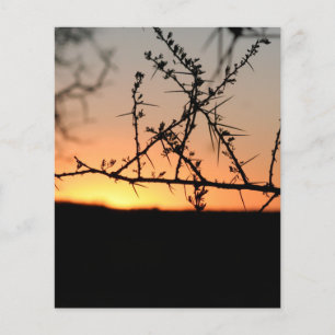 Flyer Atardecer de África