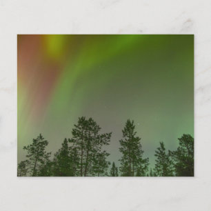 Flyer Aurora Boreal Luces del Norte Cielos Brillan Respl